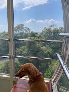 浜名湖パルパルに投稿された画像（2024/5/25）