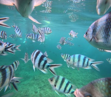 沖縄マリンサービス碧に投稿された画像（2024/5/25）