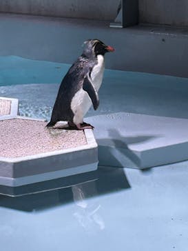 AOAO SAPPOROに投稿された画像（2024/5/25）