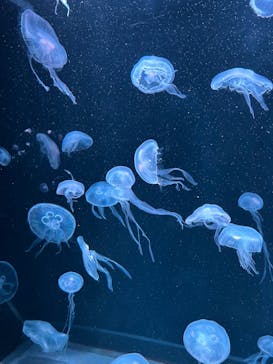 AOAO SAPPOROに投稿された画像（2024/5/25）