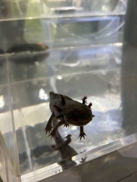 AOAO SAPPOROに投稿された画像（2024/5/25）