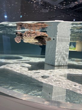 AOAO SAPPOROに投稿された画像（2024/5/25）