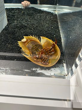 AOAO SAPPOROに投稿された画像（2024/5/25）