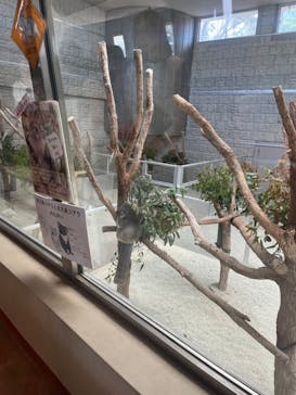 淡路ファームパーク イングランドの丘に投稿された画像（2024/5/25）