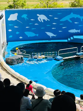 仙台うみの杜水族館に投稿された画像（2024/5/25）