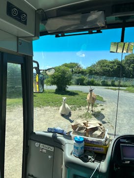 岩手サファリパークに投稿された画像（2024/5/25）