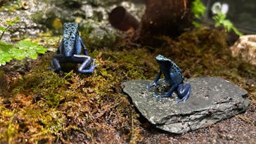 サンシャイン水族館に投稿された画像（2024/5/25）