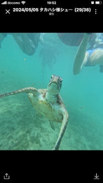 宮古島 ADVENTURE PiPi（ミヤコジマ アドベンチャー ピピ）に投稿された画像（2024/5/25）