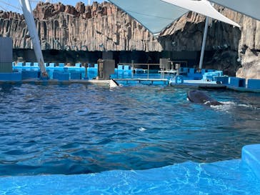 名古屋港水族館に投稿された画像（2024/5/25）