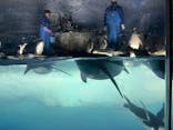 名古屋港水族館に投稿された画像（2024/5/25）