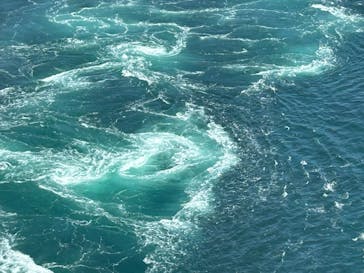 徳島県立 渦の道に投稿された画像（2024/5/25）