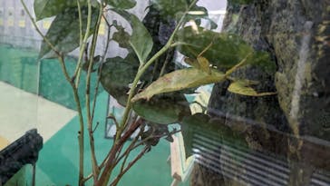 千葉こどもの国 キッズダムに投稿された画像（2024/5/25）