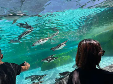 天王寺動物園に投稿された画像（2024/5/25）