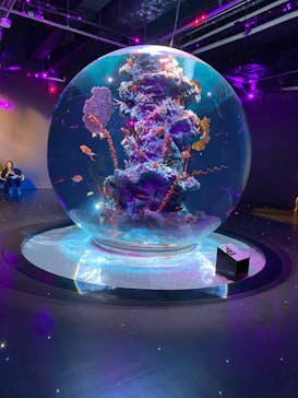 神戸みなと温泉 蓮×AQUARIUM × ART　atoaに投稿された画像（2024/5/25）