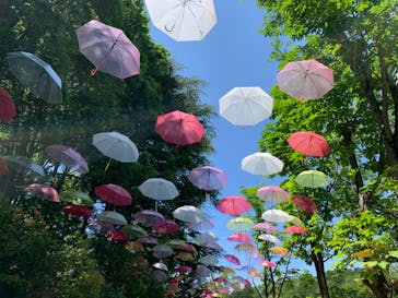 ムーミンバレーパークに投稿された画像（2024/5/25）