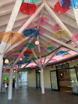 ムーミンバレーパークに投稿された画像（2024/5/25）