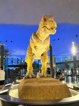 福井県立恐竜博物館に投稿された画像（2024/5/25）