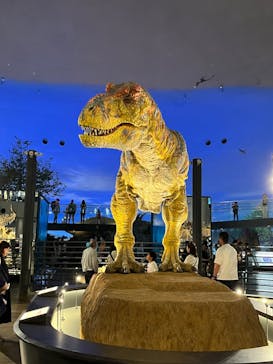 福井県立恐竜博物館に投稿された画像（2024/5/25）