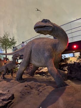 福井県立恐竜博物館に投稿された画像（2024/5/25）