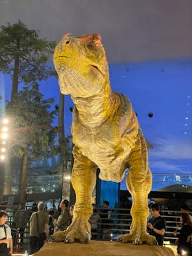 福井県立恐竜博物館に投稿された画像（2024/5/25）