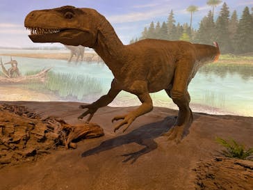 福井県立恐竜博物館に投稿された画像（2024/5/25）