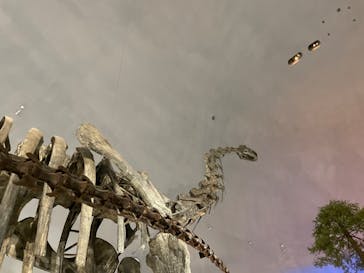 福井県立恐竜博物館に投稿された画像（2024/5/25）