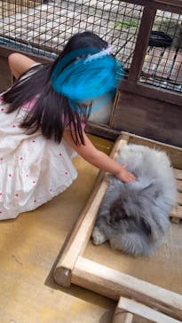 神戸どうぶつ王国に投稿された画像（2024/5/25）