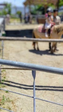 神戸どうぶつ王国に投稿された画像（2024/5/25）