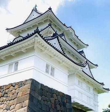 小田原城に投稿された画像（2024/5/25）