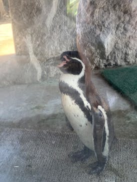 東武動物公園に投稿された画像（2024/5/25）