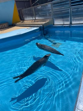 東武動物公園に投稿された画像（2024/5/25）