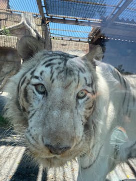 東武動物公園に投稿された画像（2024/5/25）