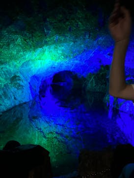 地底王国「美川ムーバレー」に投稿された画像（2024/5/25）