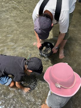 地底王国「美川ムーバレー」に投稿された画像（2024/5/25）