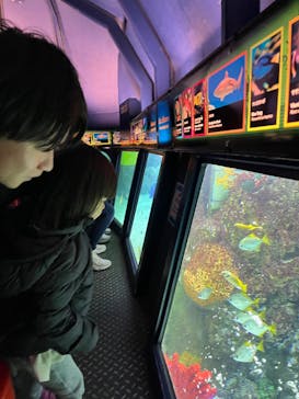 レゴランドⓇ・ジャパン・リゾートに投稿された画像（2024/5/25）