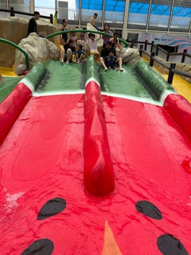 東京サマーランドに投稿された画像（2024/5/25）