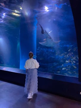 マクセル アクアパーク品川に投稿された画像（2024/5/25）