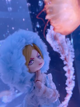 マクセル アクアパーク品川に投稿された画像（2024/5/25）