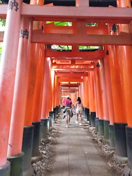 京阪電車に投稿された画像（2024/5/25）