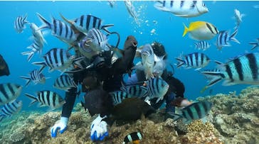 武藤潜水に投稿された画像（2024/5/25）