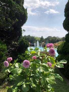 浜名湖花博2024に投稿された画像（2024/5/25）