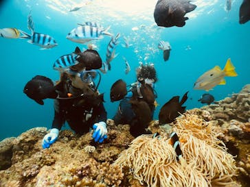 武藤潜水に投稿された画像（2024/5/25）