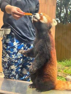 横浜・八景島シーパラダイスに投稿された画像（2024/5/25）