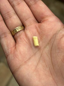 横浜・八景島シーパラダイスに投稿された画像（2024/5/25）