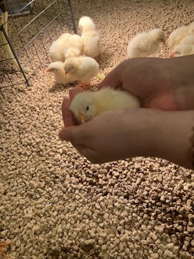 Moff animal cafe イオンモール幕張新都心店に投稿された画像（2024/5/25）