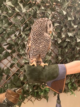 Moff animal cafe イオンモール幕張新都心店に投稿された画像（2024/5/25）