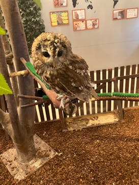 Moff animal cafe イオンモール幕張新都心店に投稿された画像（2024/5/25）