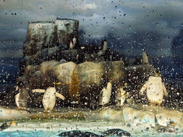 名古屋港水族館に投稿された画像（2024/5/25）