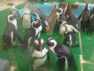 名古屋港水族館に投稿された画像（2024/5/25）