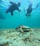 宮古島 ADVENTURE PiPi（ミヤコジマ アドベンチャー ピピ）に投稿された画像（2024/5/26）